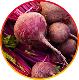 Betaine liver damage reversal